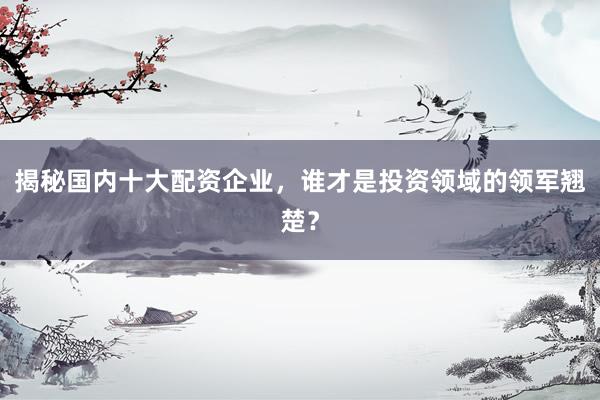 揭秘国内十大配资企业，谁才是投资领域的领军翘楚？