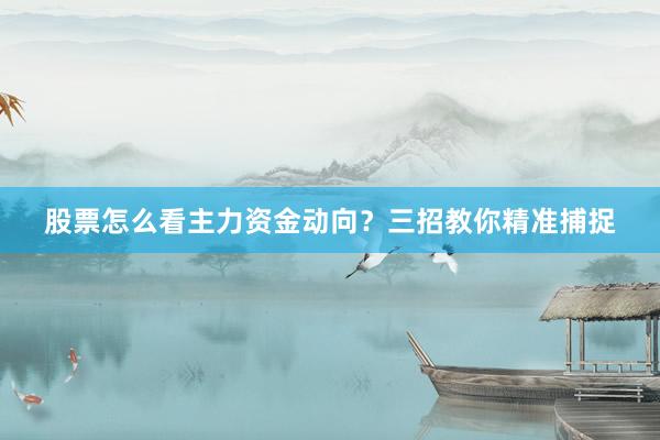 股票怎么看主力资金动向？三招教你精准捕捉