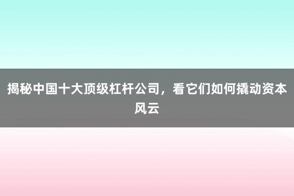 揭秘中国十大顶级杠杆公司，看它们如何撬动资本风云