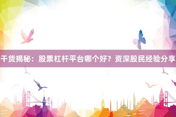 干货揭秘：股票杠杆平台哪个好？资深股民经验分享