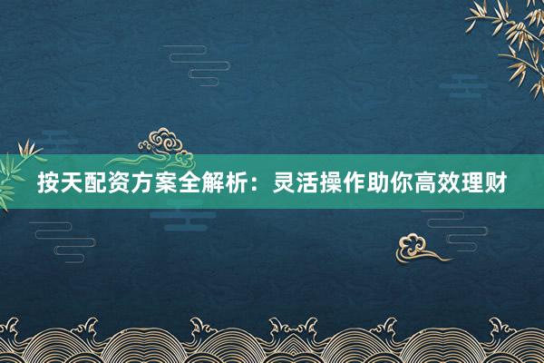 按天配资方案全解析：灵活操作助你高效理财