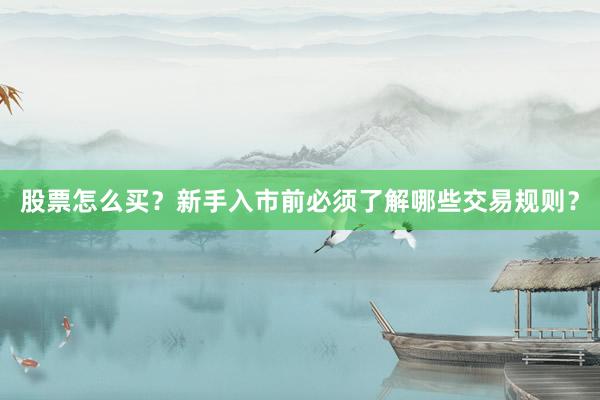 股票怎么买？新手入市前必须了解哪些交易规则？