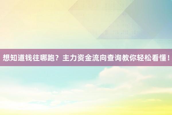 想知道钱往哪跑？主力资金流向查询教你轻松看懂！