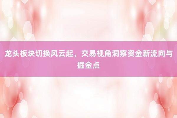 龙头板块切换风云起，交易视角洞察资金新流向与掘金点