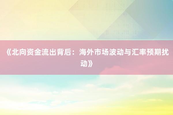 《北向资金流出背后：海外市场波动与汇率预期扰动》