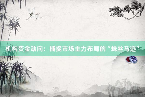 机构资金动向：捕捉市场主力布局的“蛛丝马迹”
