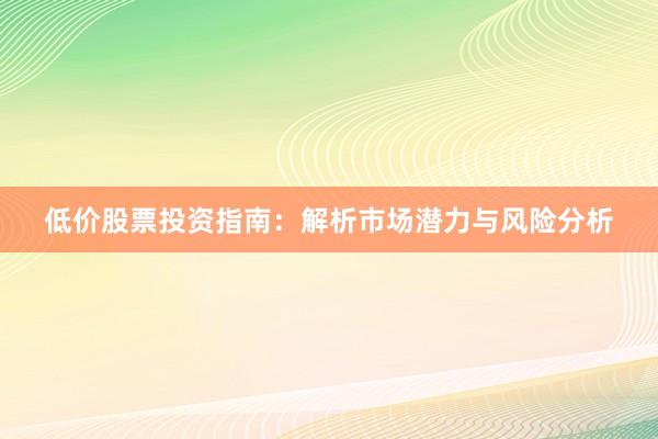 低价股票投资指南：解析市场潜力与风险分析