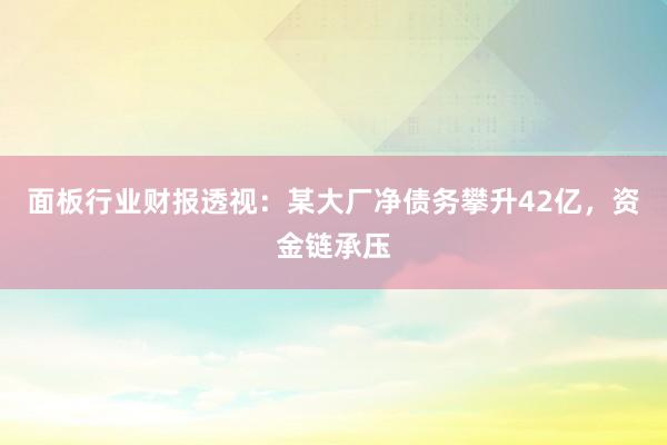 面板行业财报透视：某大厂净债务攀升42亿，资金链承压